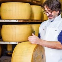Производство сыра как бизнес: обзор, плюсы и минусы
