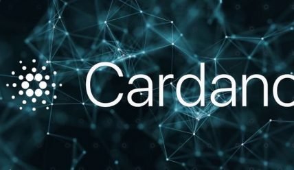 Что такое Cardano? Все что вам нужно знать