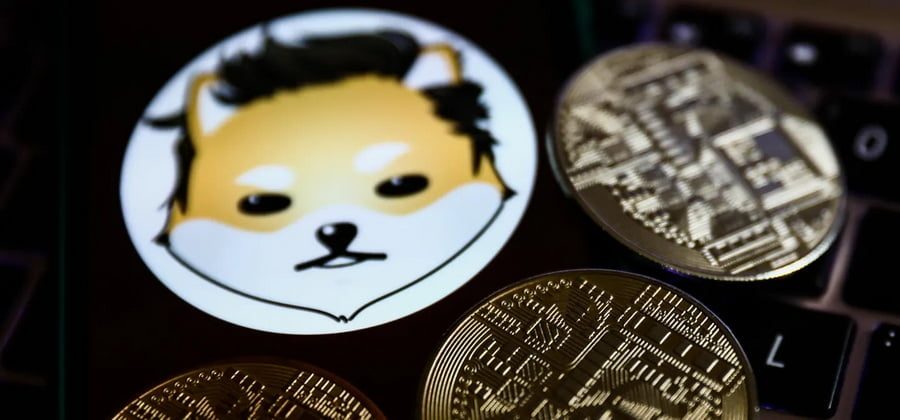 Споры вокруг мемкоинов оздоровят рынок криптовалют